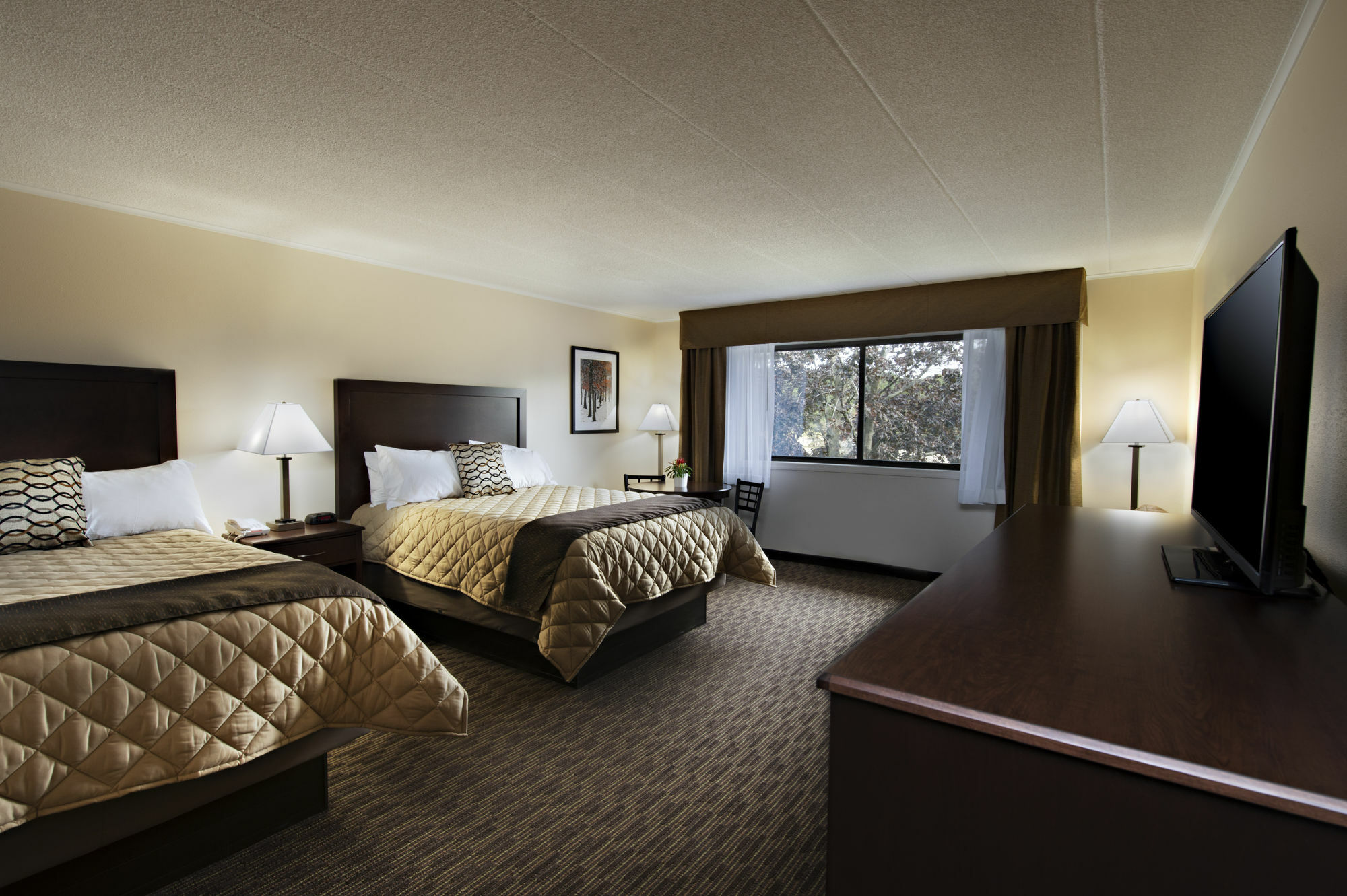 Chestnut Mountain Resort Galena Exteriér fotografie